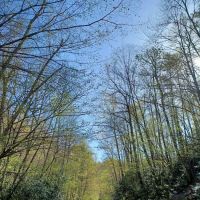 Harmon Den Horse Camp NC ico