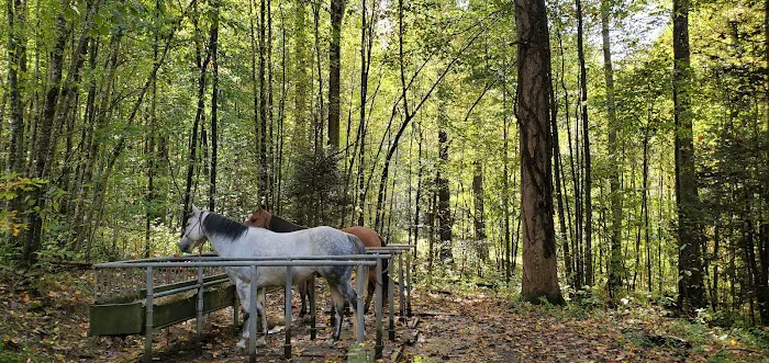Harmon Den Horse Camp NC Picture 2