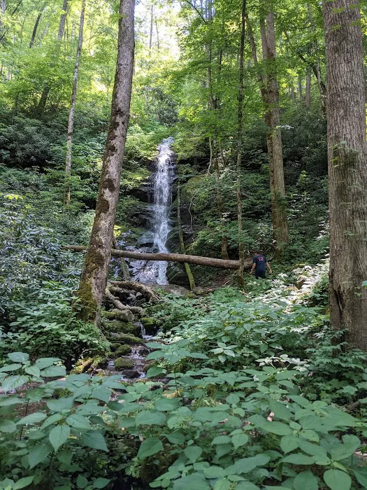 Harmon Den Horse Camp NC Picture 9