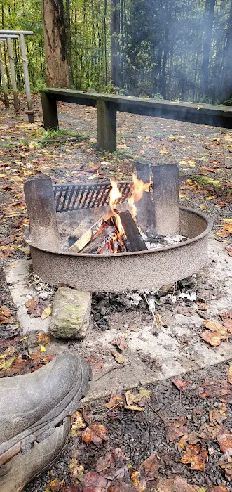 Harmon Den Horse Camp NC Picture 3