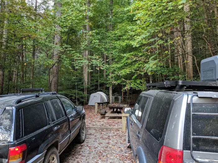 Harmon Den Horse Camp NC Picture 8