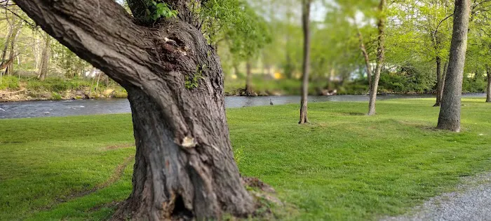 Pride RV Resort Picture 7