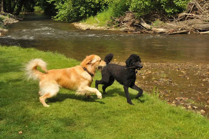 Pride RV Resort Picture 6