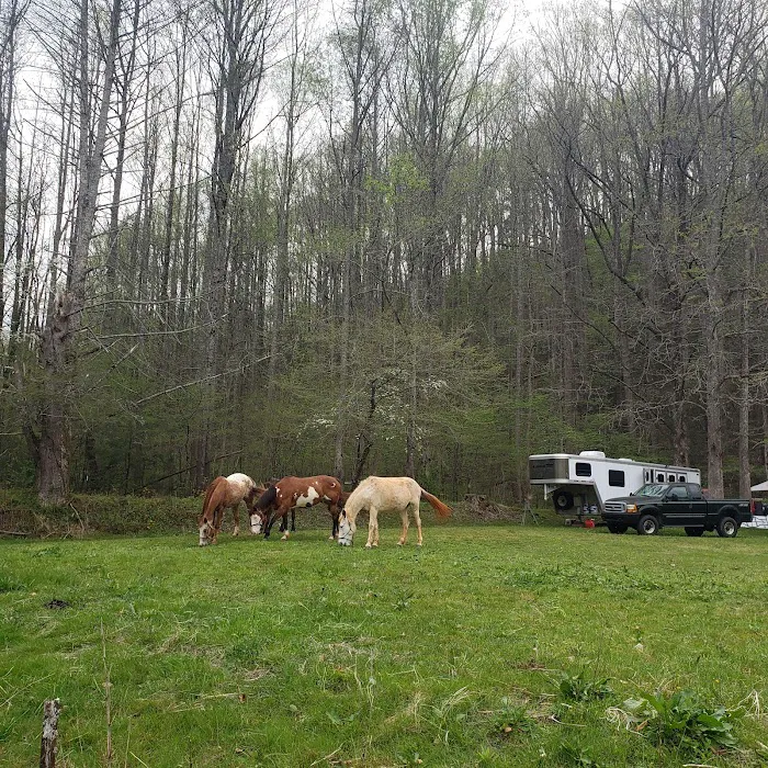 Little Big Creek Horse Camp Picture 2
