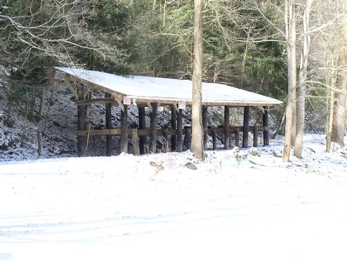 Little Big Creek Horse Camp Picture 5