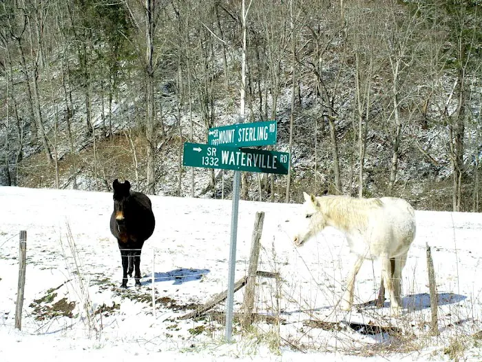 Little Big Creek Horse Camp Picture 7