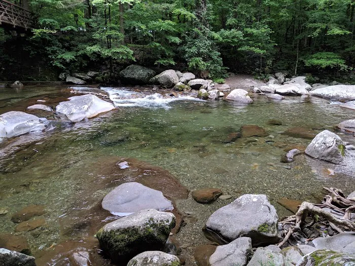 Big Creek Group Camp Picture 1