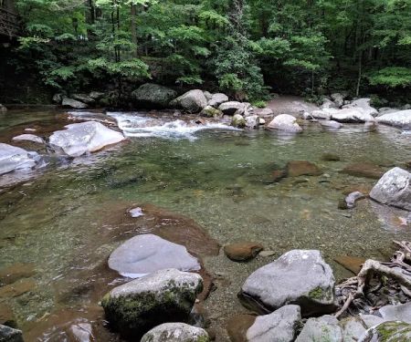 Big Creek Group Camp