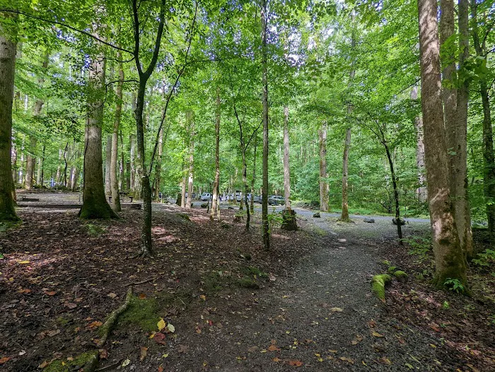 Big Creek Group Camp Picture 4