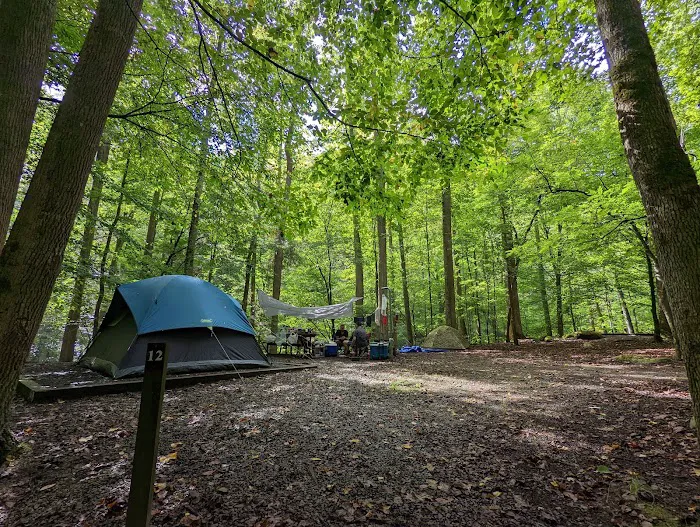 Big Creek Group Camp Picture 6