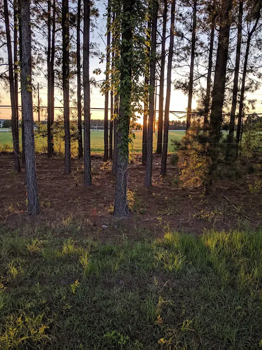 River Oaks Campground Picture 10