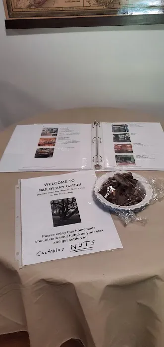 Mulberry Cabin Picture 8