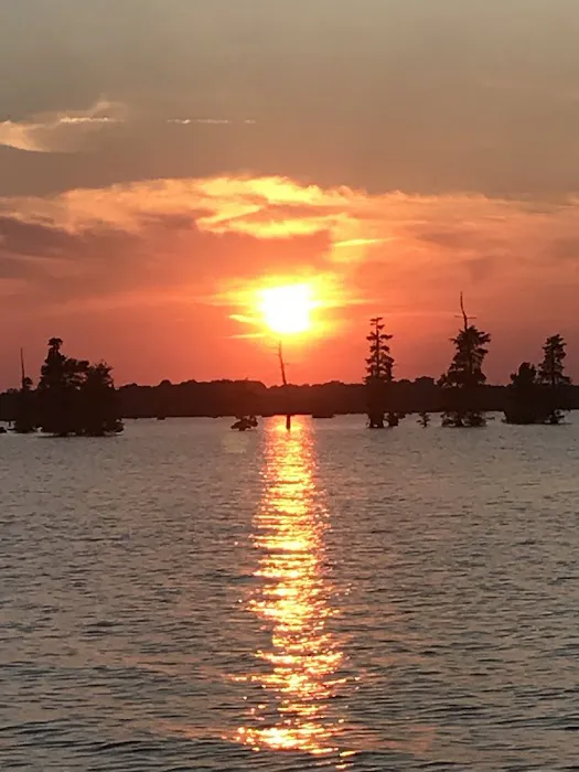 Elliott's Landing and Campground Picture 8