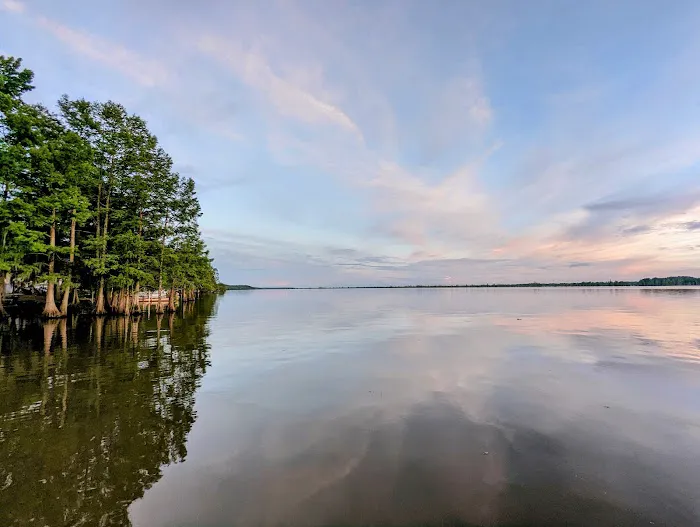 Elliott's Landing and Campground Picture 10