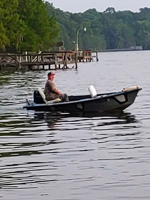 Stumphole Landing Campground Picture 4