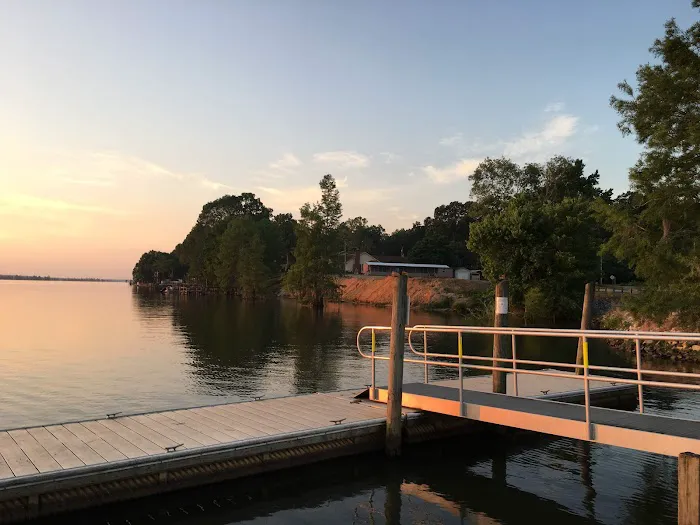 Stumphole Landing Campground Picture 3