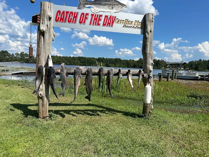 Relaxed Retreat at Carolina King Picture 8