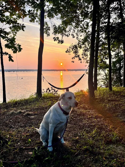 Cypress View Campground Picture 1