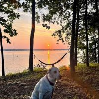 Cypress View Campground ico