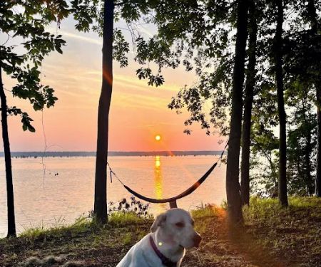 Cypress View Campground