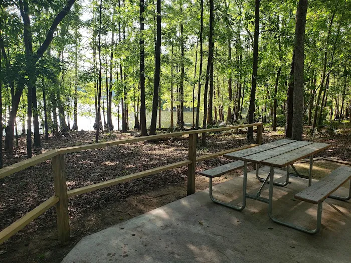 Cypress View Campground Picture 5