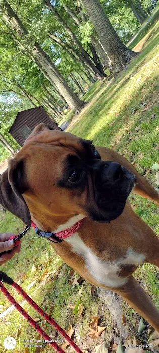 Fox Hollow Camp Ground Picture 8