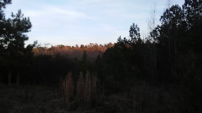 Fox Hollow Camp Ground Picture 1