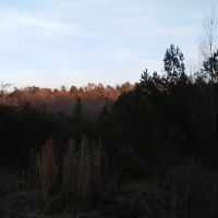 Fox Hollow Camp Ground ico