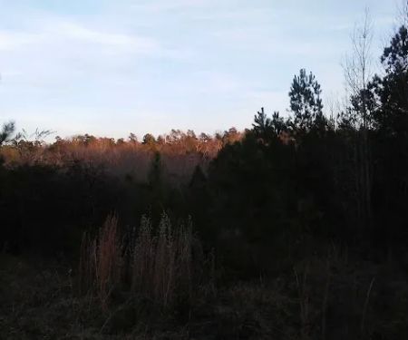 Fox Hollow Camp Ground