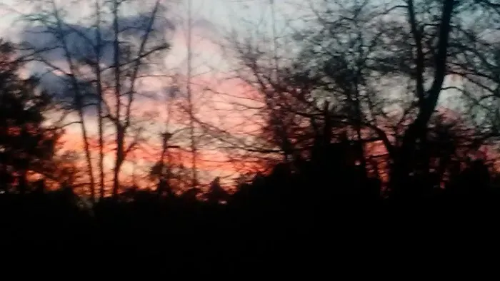 Fox Hollow Camp Ground Picture 2