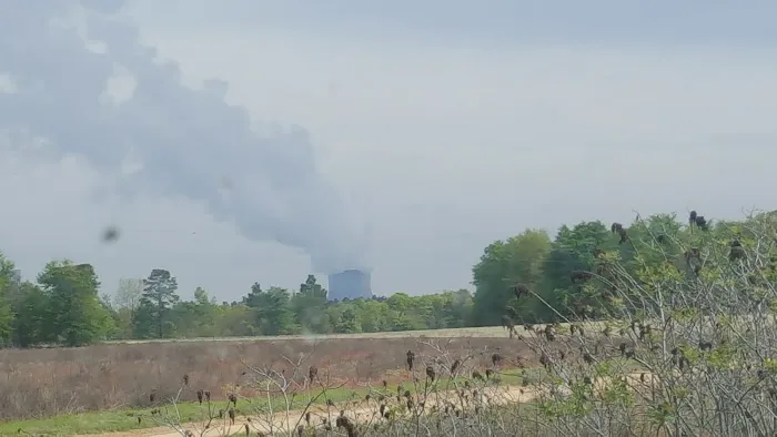 Plant Vogtle Campground Picture 5