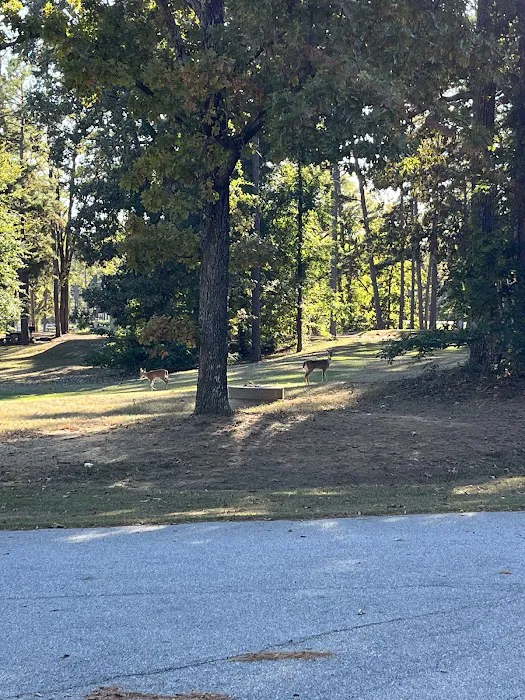 Pointes West Camping Area #4 Picture 3