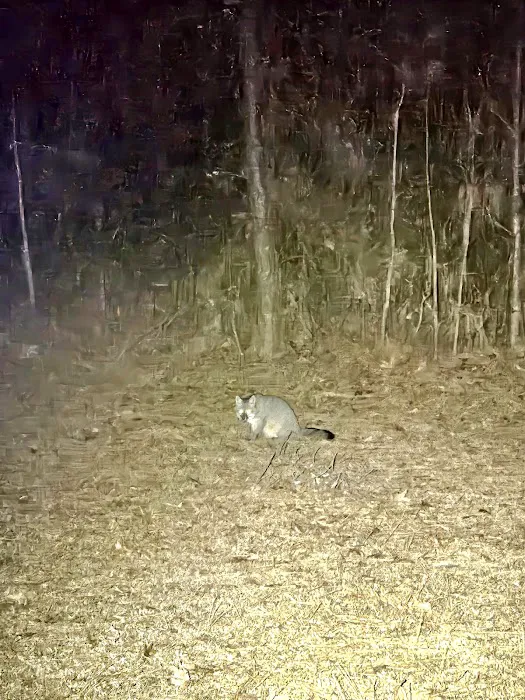 Pointes West Camping Area #4 Picture 2