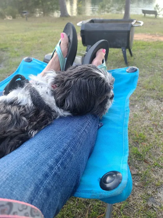 Pointes West Army Resort - Camping Area 2 Picture 8