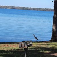 Pavilion #1 - Pointes West ico