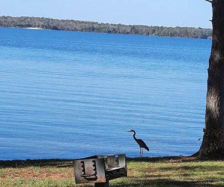 Pavilion #1 - Pointes West