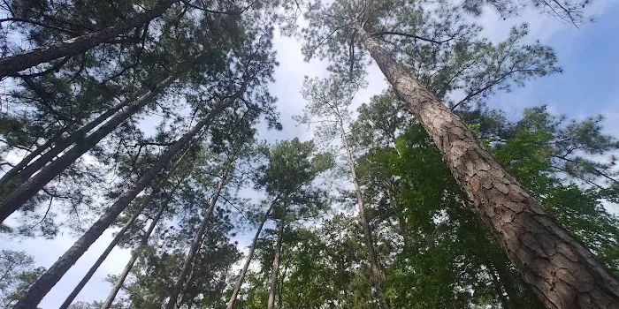 Pavilion #1 - Pointes West Picture 6