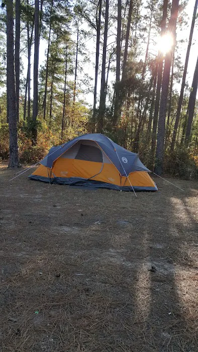 Pavilion #1 - Pointes West Picture 10