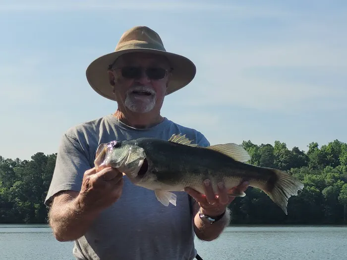 Pine-Der-Rosa Cabins & RV Rental Picture 2