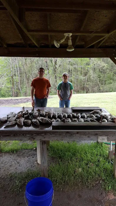 Pine-Der-Rosa Cabins & RV Rental Picture 1