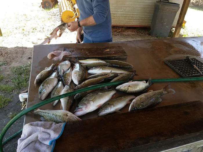 Pine-Der-Rosa Cabins & RV Rental Picture 7