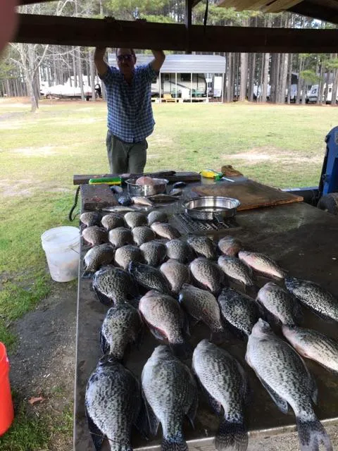 Pine-Der-Rosa Cabins & RV Rental Picture 6