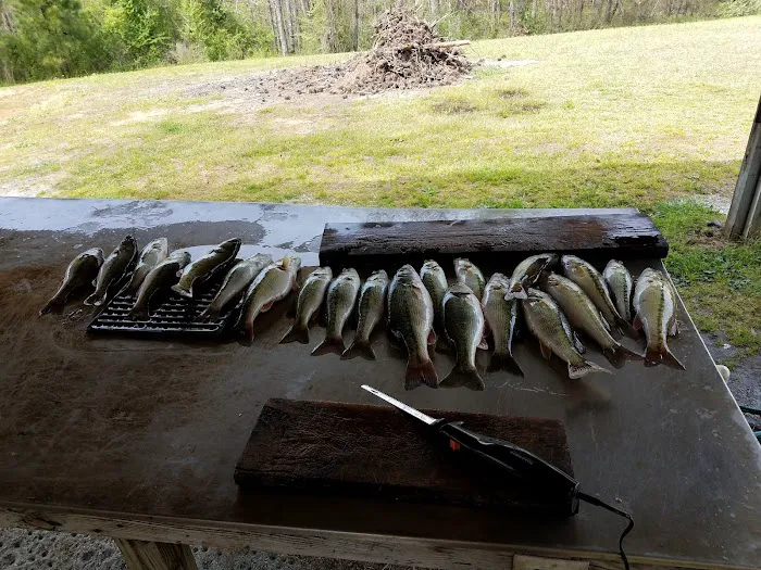 Pine-Der-Rosa Cabins & RV Rental Picture 8