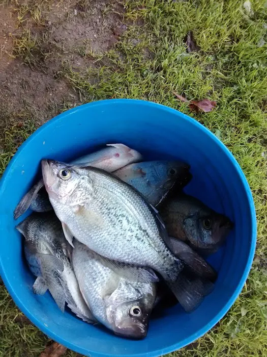 Pine-Der-Rosa Cabins & RV Rental Picture 10