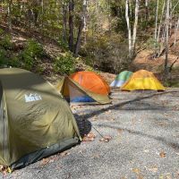 Cane Creek Holler ico