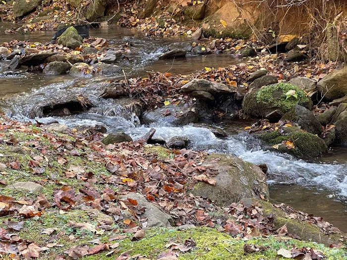 Cane Creek Holler Picture 2