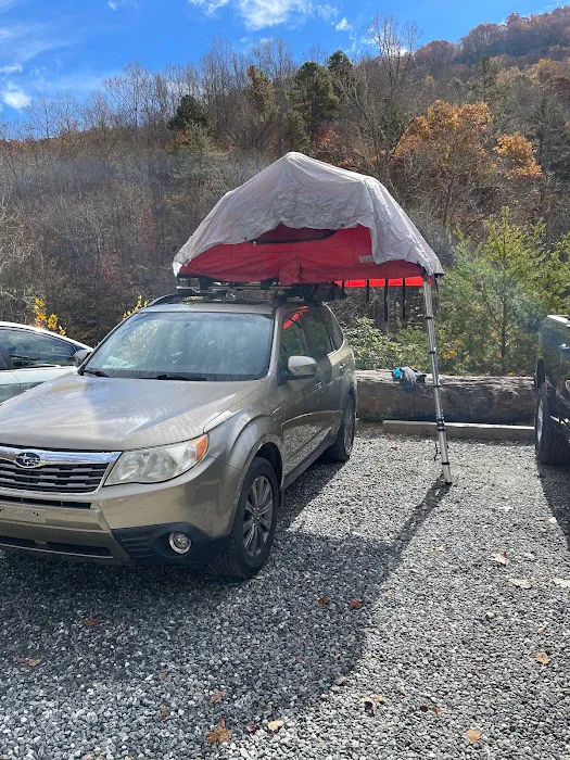 Cane Creek Holler Picture 3