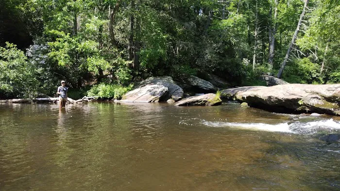 Van Hook Glade Campground Picture 1