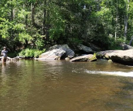 Van Hook Glade Campground