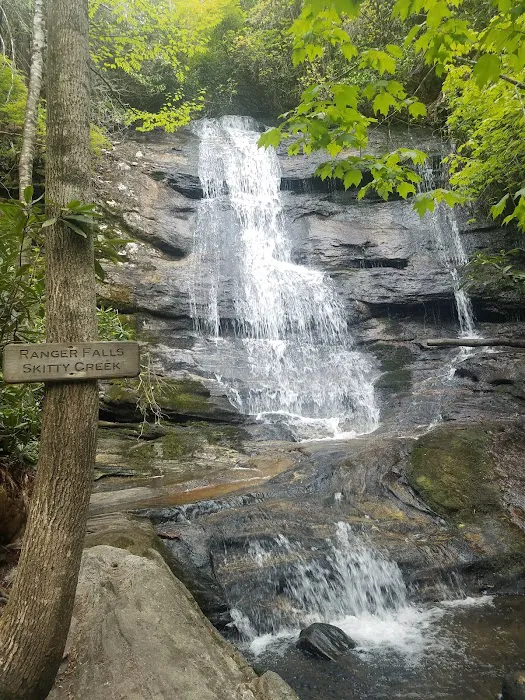 Van Hook Glade Campground Picture 5